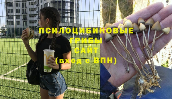 а пвп мука Волоколамск
