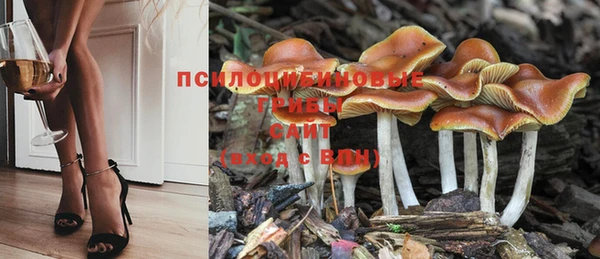 а пвп мука Волоколамск