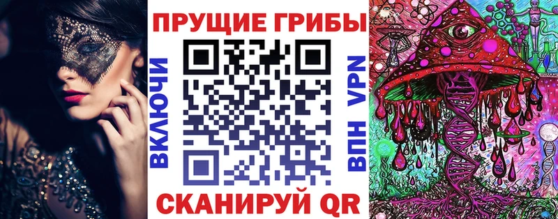 Псилоцибиновые грибы Psilocybine cubensis  Ставрополь 
